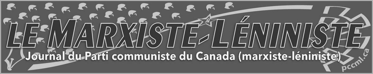 TML Logo